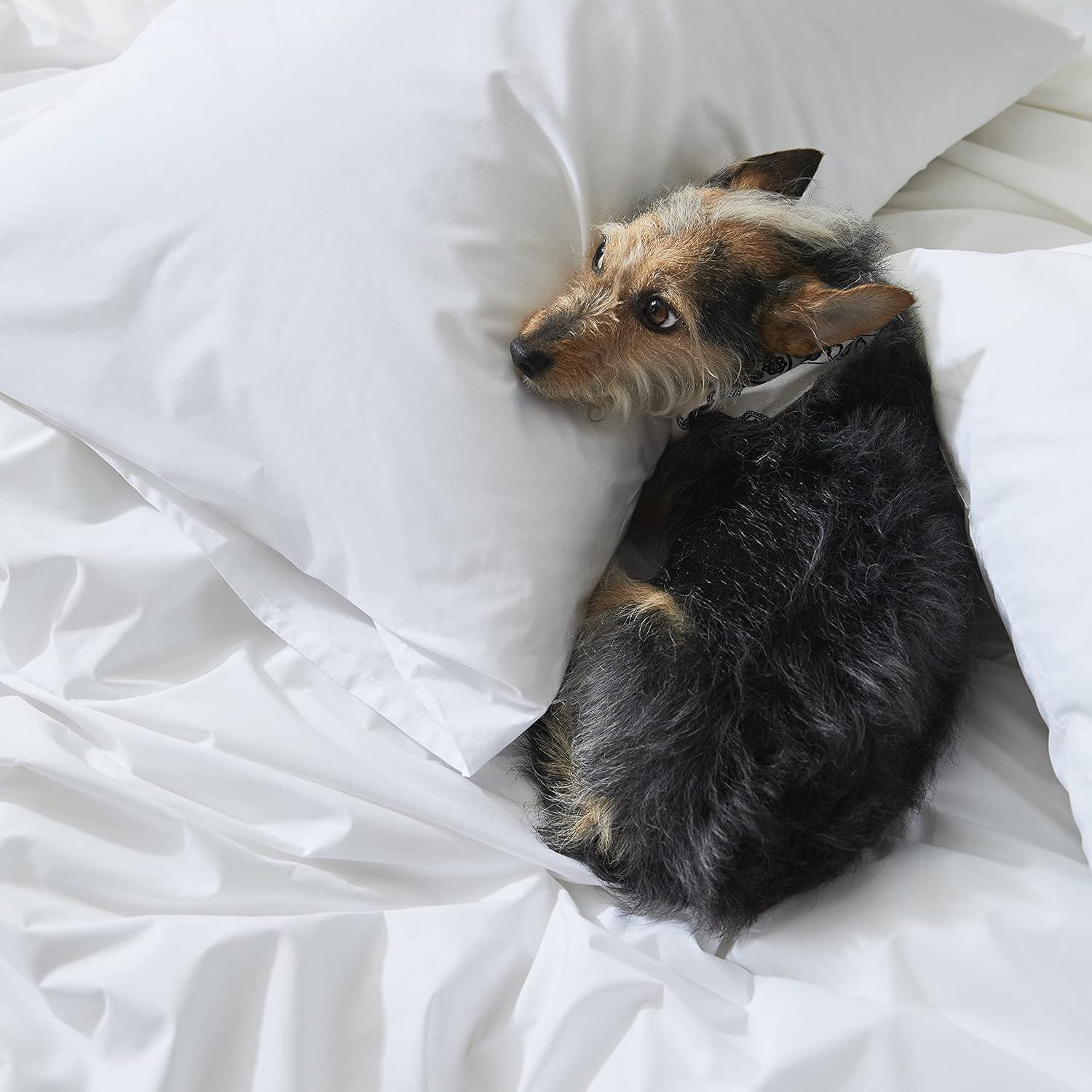 imageBrooklinen Luxury Percale Sheet Set 4 Piece 100 Cotton Bed Sheets 1 Fitted ampamp 1 Flat Sheet 2 Pillowcases Cotton Percale Sheets for Hot Sleepers Full Size Abyss BlueWhite